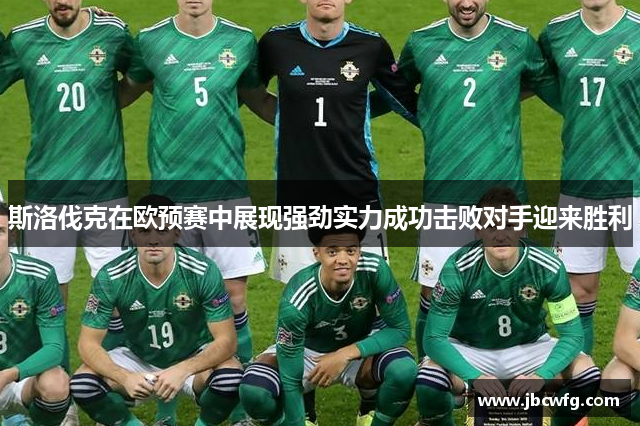 斯洛伐克在欧预赛中展现强劲实力成功击败对手迎来胜利