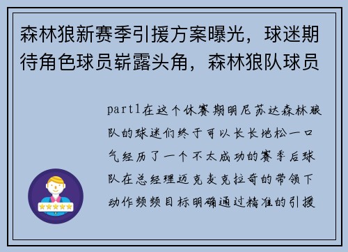 森林狼新赛季引援方案曝光，球迷期待角色球员崭露头角，森林狼队球员