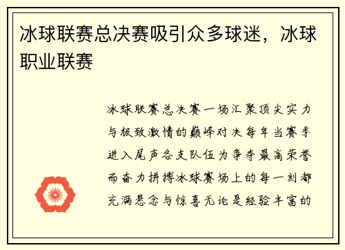 冰球联赛总决赛吸引众多球迷，冰球职业联赛