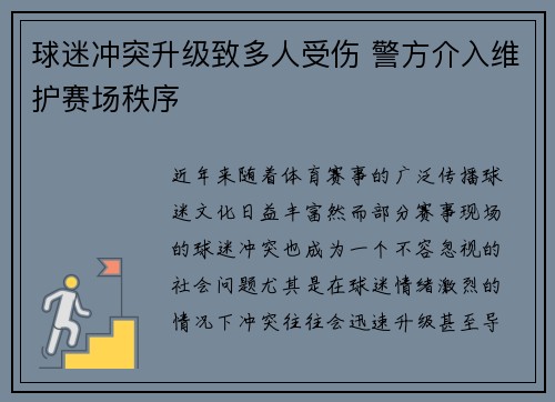 球迷冲突升级致多人受伤 警方介入维护赛场秩序
